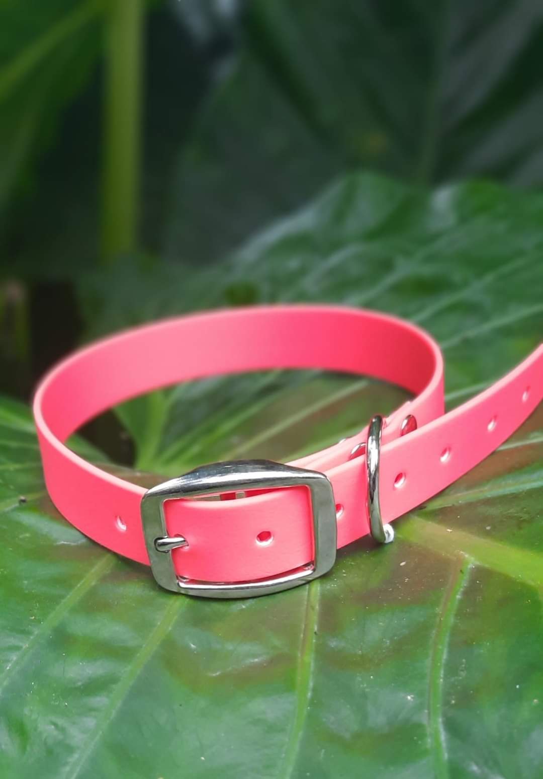 PVC Collars